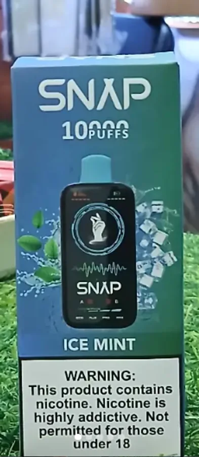 SNAP 10000 Puffs — Ice Mint
